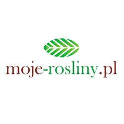 Szkółka roślin ozdobnych " moje-rośliny.pl "