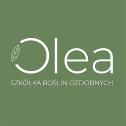 OLEA - szkółka roślin ozdobnych