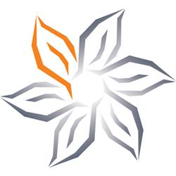Fundacja Lilium
