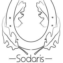 Nauka jazdy konnej Sodaris