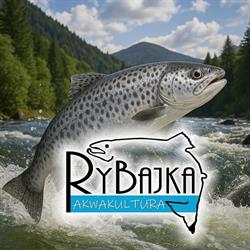 Delikatesy Rybajka - sklep firmowy w Pile