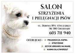 Salon Strzyżenia i Pielęgnacji Psów