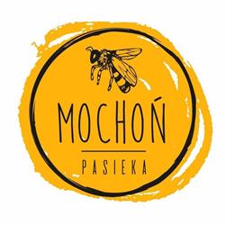Pasieka Mochoń