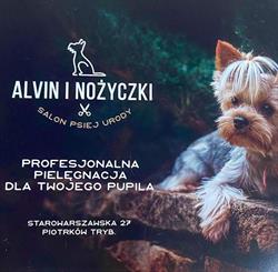 Salon Psiej Urody Alvin i Nożyczki
