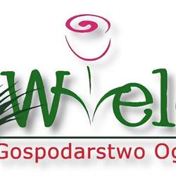 Gospodarstwo Ogrodnicze Wielgat