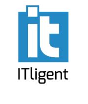 ITligent Group Sp. z o.o.