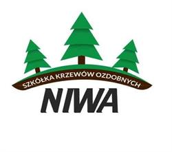 Szkółka Drzew i Krzewów Ozdobnych Niwa