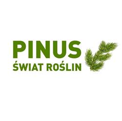 Świat roślin PINUS