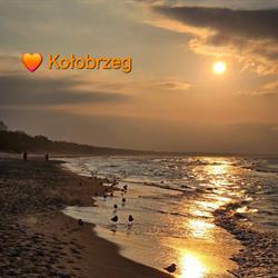 Róża