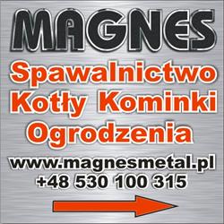 Magnes Metal