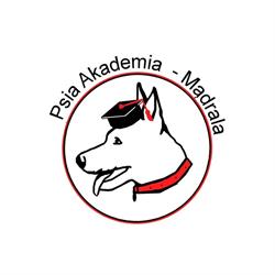 Psia Akademia Mądrala - Szkolenia psów