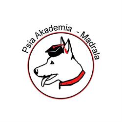 Psia Akademia Mądrala - Szkolenia psów