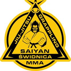 Saiyan Świdnica MMA