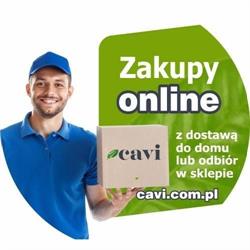 Cavi