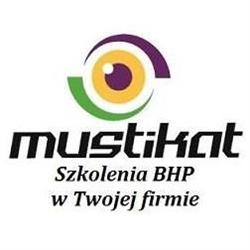 Mustikat