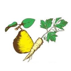 Gruszka i Pietruszka