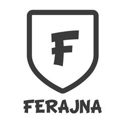 Akademia Rozwoju Poprzez Sport FERAJNA