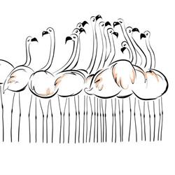 Dentysta Mrzezino (Sanus Dentes)