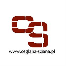 Stara Cegła na Ścianę - Ceglana Ściana - Płytki Stara Cegła , dekoracyjne , elewacyjne