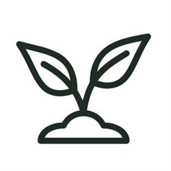 Vishumin