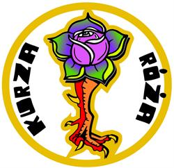 Kurza Róża Tomasz Zientek