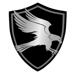 Detektyw skd24