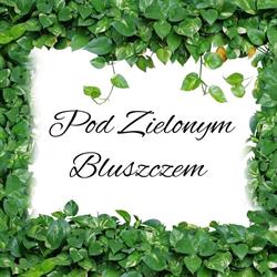 Sala Weselna Pod Zielonym Bluszczem