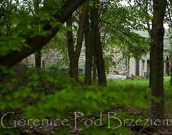 Agroturystyka Gorenice Pod Brzeziem