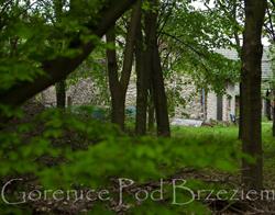 Agroturystyka Gorenice Pod Brzeziem