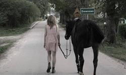 Stadnina koni STANGRETKA