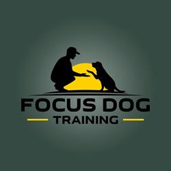 Focus Dog Training