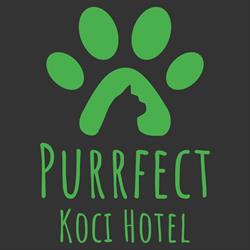 Purrfect Koci Hotel