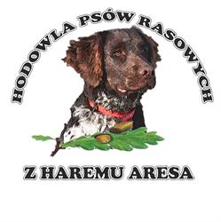 z Haremu Aresa