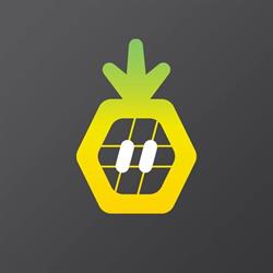 Pineapple Works