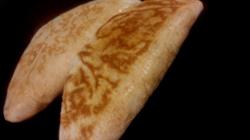 Ugarit Grill Kebab