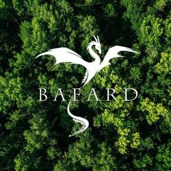 Bafard - ściana wspinaczkowa