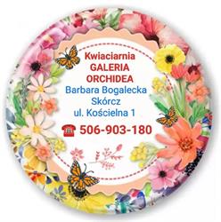 Galeria Orchidea