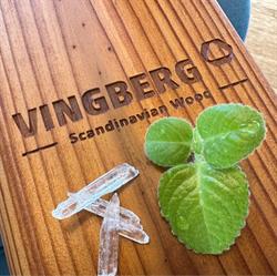 VINGBERG POLSKA SA