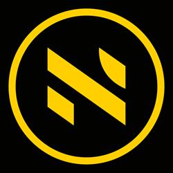 N Energia