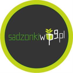 Gospodarstwo Szkółkarskie Karolina Piaseczna sadzonkiwp9.pl