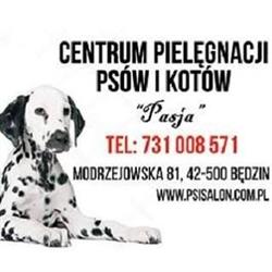 PSIA PASJA Centrum Pielęgnacji Psów i Kotów, Hotel dla kotów