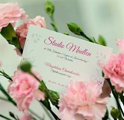 Studio Madlen