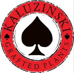 KAŁUZIŃSKI GRAFTD PLANTS