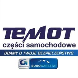 STACJA KONTROLI POJAZDÓW TEMOT