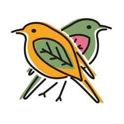 Żłobek, Przedszkole i Szkoła Montessori Leśne Ptaki