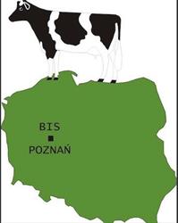 Przedsiębiorstwo Bis
