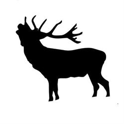 4Hunting Sklep Myśliwski, Odzież Myśliwska
