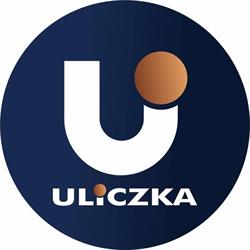 Fotele masujące, sauny, kominki, piece kominowe, ubezpieczenia, kominiarstwo ULICZKA