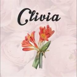 Kwiaciarnia Clivia