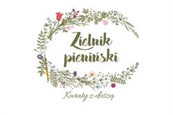 Kwiaciarnia Zielnik Pieniński
